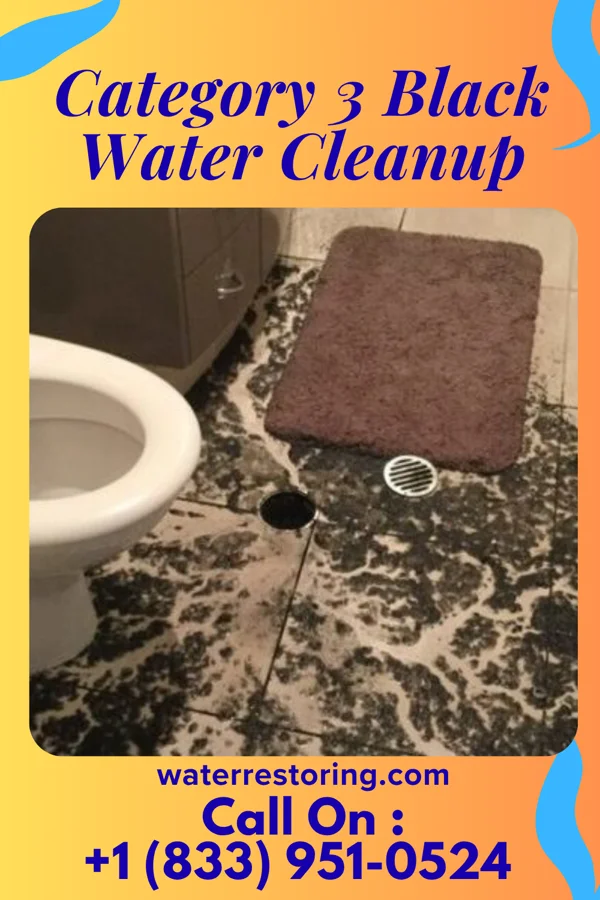Category 3 Black Water Cleanup in New Virginia, IA